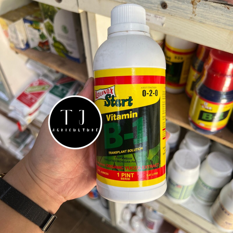 Vitamin B-1 470 ML | Pupuk Vitamin B1 Tanaman Original Liquinox Start 470ML