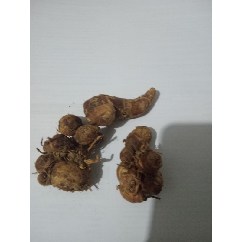 

Kencur 100gr