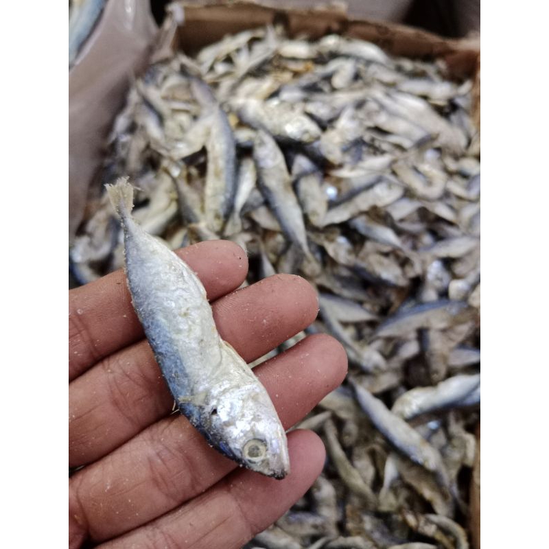

IKAN ASIN PEDA SUPER KECIL 1KG MANTAP BERKUALITAS