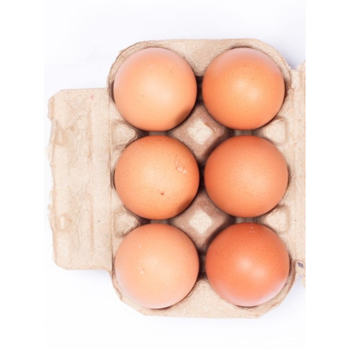 Paper egg tray/tray telur kertas 6 lubang