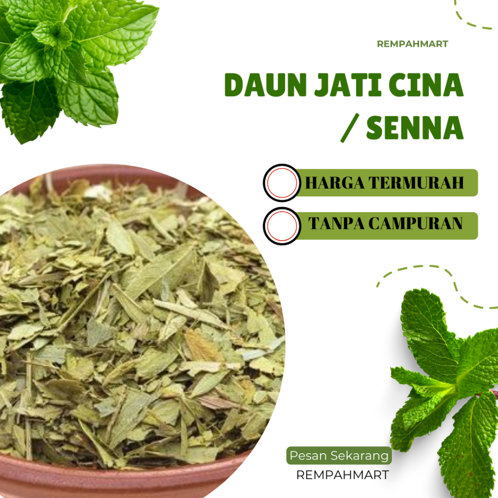 

Daun Senna Pelangsing 1kg Termurah / Rempahmart