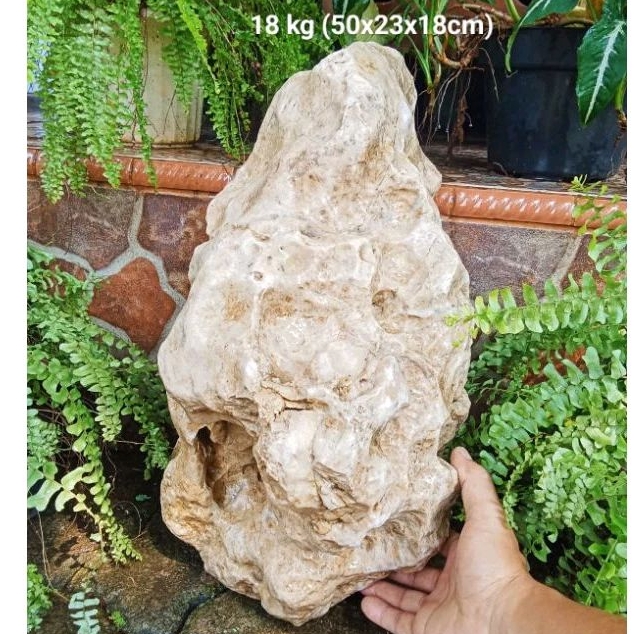 batu suiseki/fosil mani gajah kristal (461)