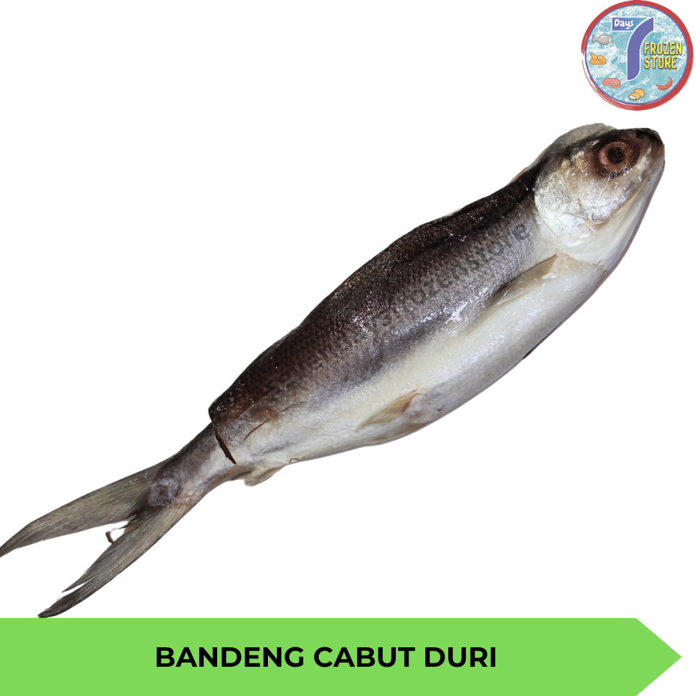 

RB Ikan Bandeng Cabut Duri Tanpa Duri Beku Frozen