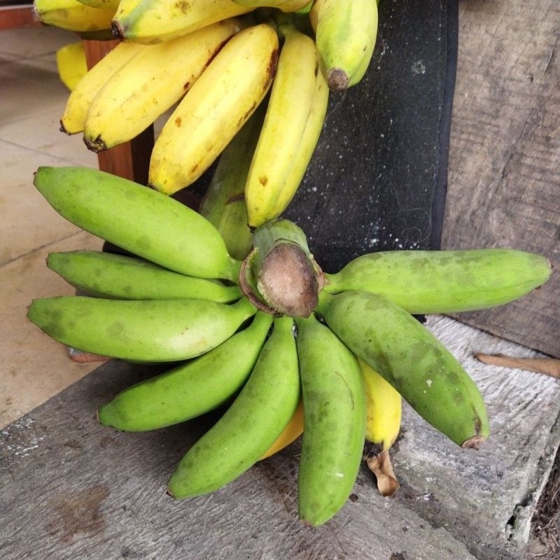 

pisang raja nangka organik premium persisir dijamin masak pohon