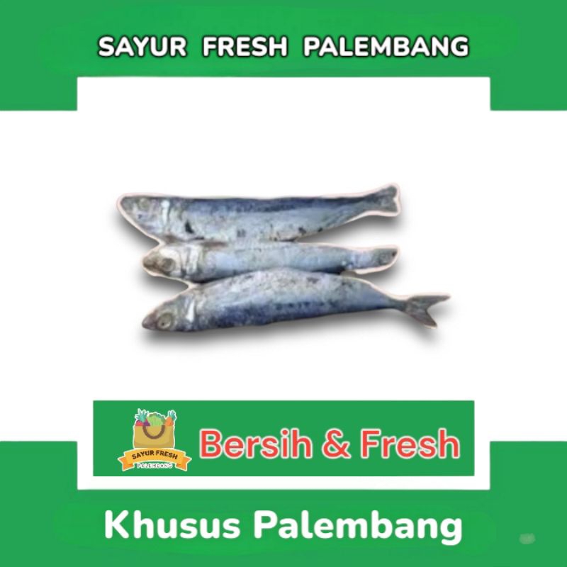 

Ikan Asin Japuh - Sayur Fresh Pasar Perum