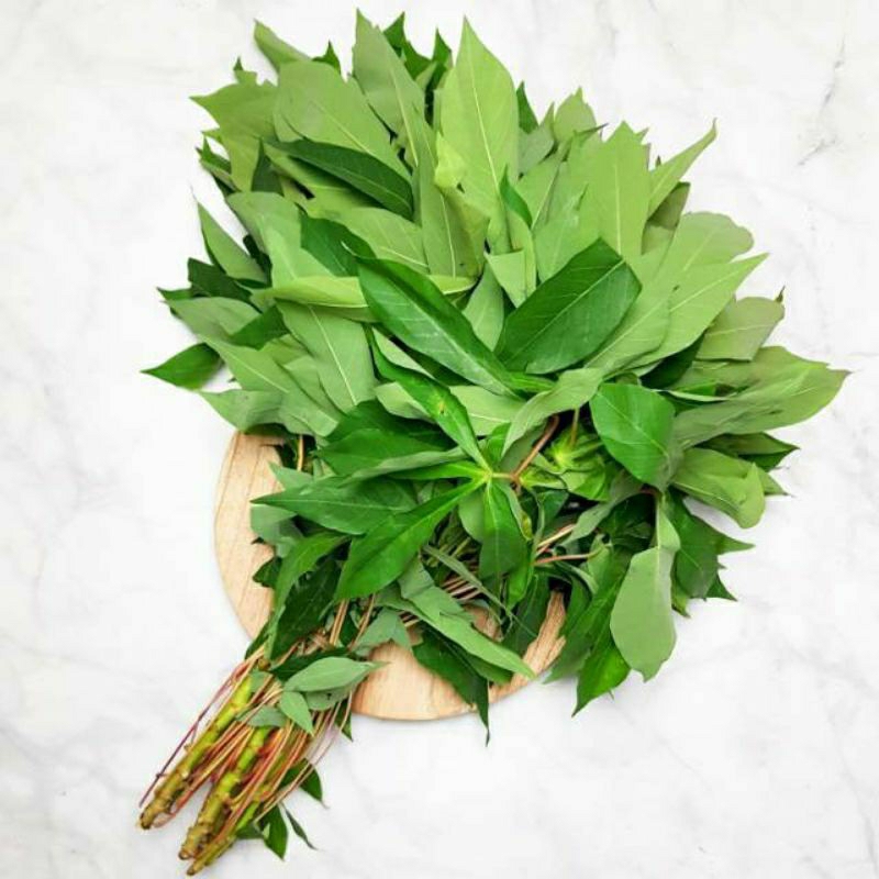 

Daun singkong 1 ikat