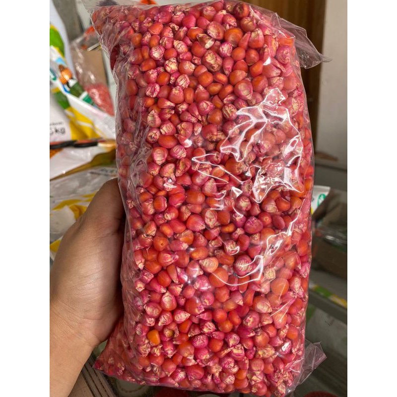 

JAGUNG PERKASA NON LABEL Kualitas SUPER 1kg