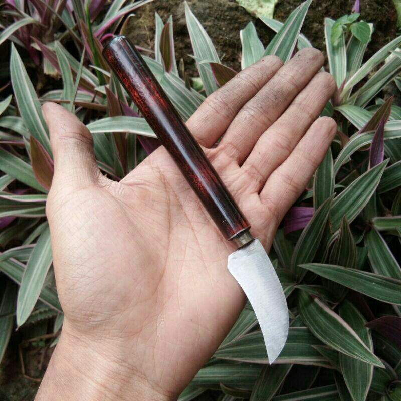 

Pisau Serut Kayu Bambu Multifungsi Pisau stek okulasi Pisau ukir