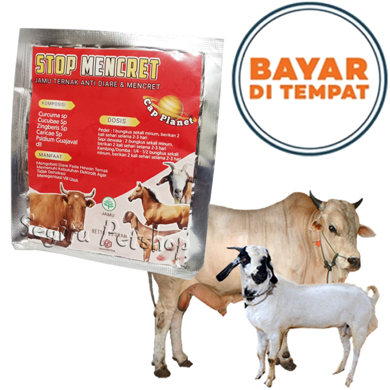 OBAT STOP MENCRET SAPI KAMBING SAKIT PENCERNAAN KEMBUNG