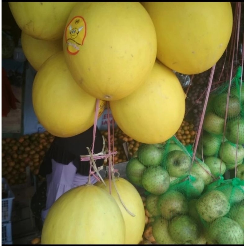 

Melon Golden Manis Segar