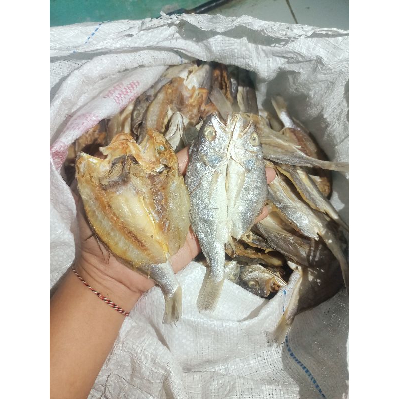

ikan asin gulama