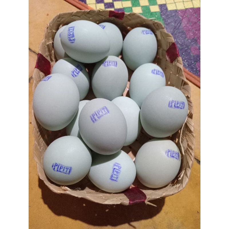 

Telor asin ukuran super