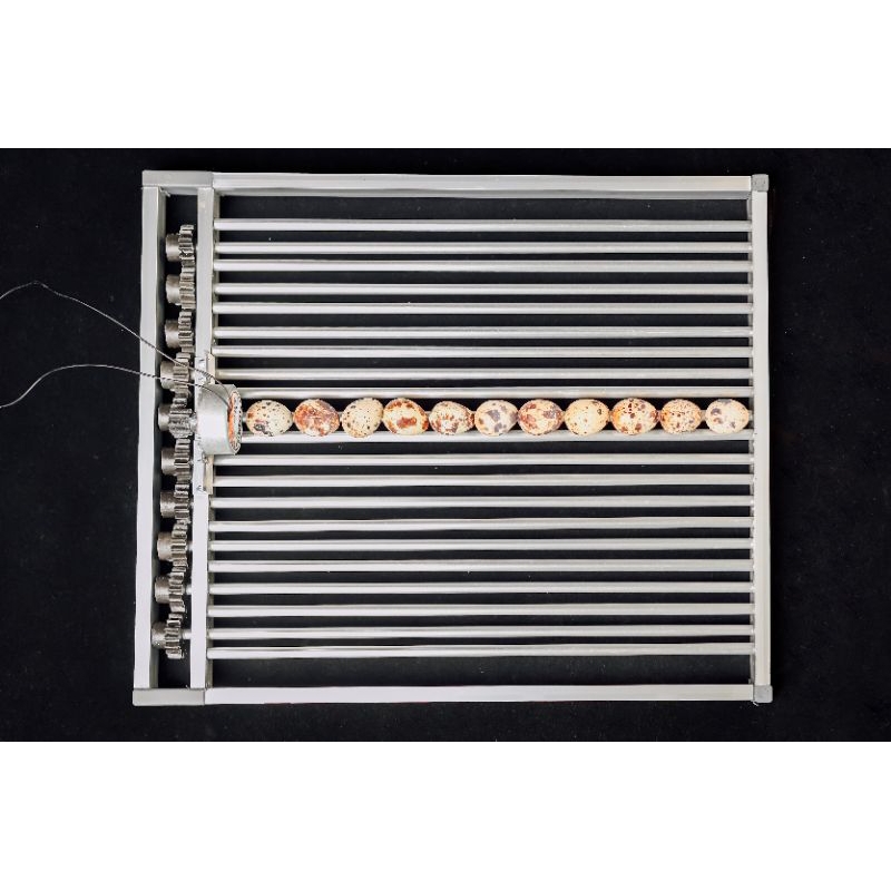 rak mesin tetas telur burung puyuh murai