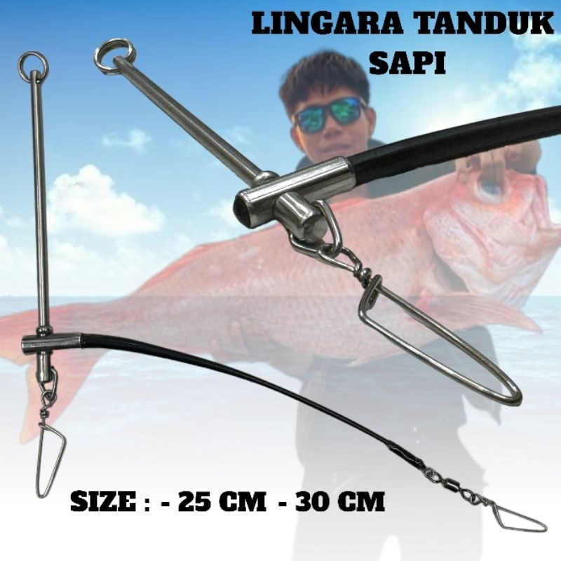 LINGARA PANCING TANDUK SAPI ORIGINAL