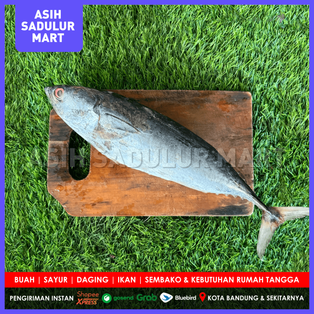 

Ikan Tongkol 1 Ekor +- 400g / 330g / 250g Frozen Ikan Bandung | Asih Sadulur Mart