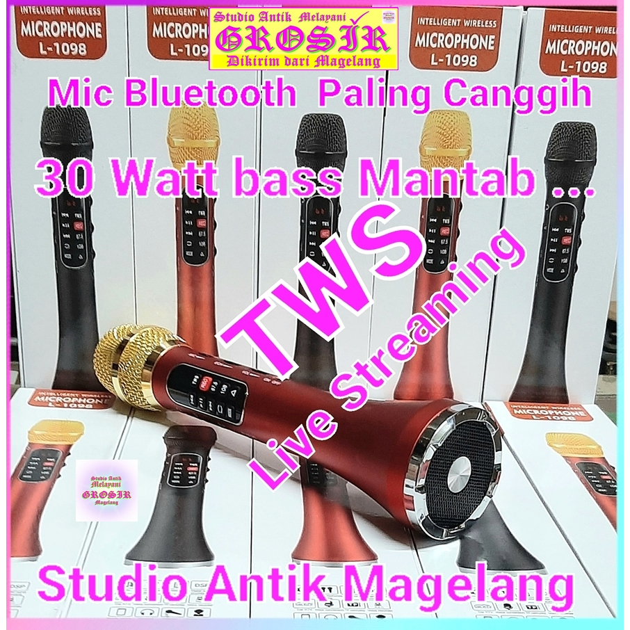 Mic Bluetooth 30 watt super Bass kencang - Mic Lewinner L 699 20w - Lewinner 1098 30w - Mic Speaker 
