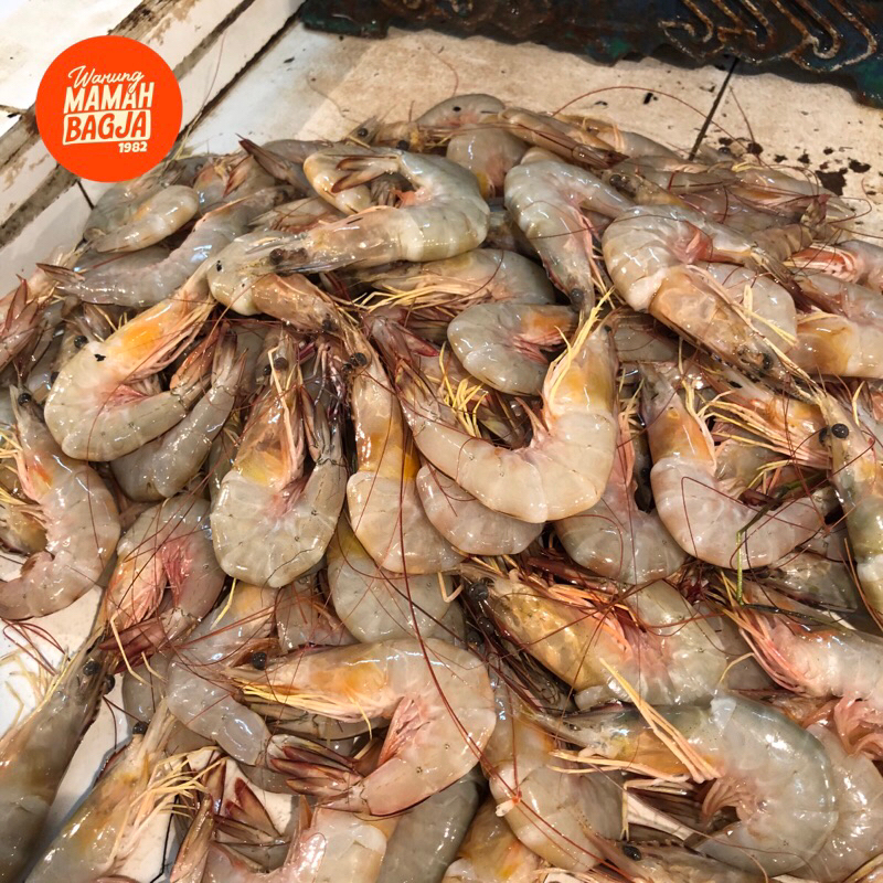 

UDANG LAUT BESAR isi 36 pcs 1kg fresh