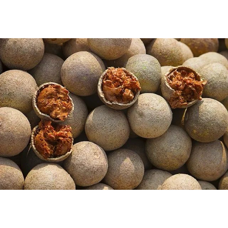 

BUAH KAWISTA 1KG MURAH BAGUS UNTUK KESEHATAN