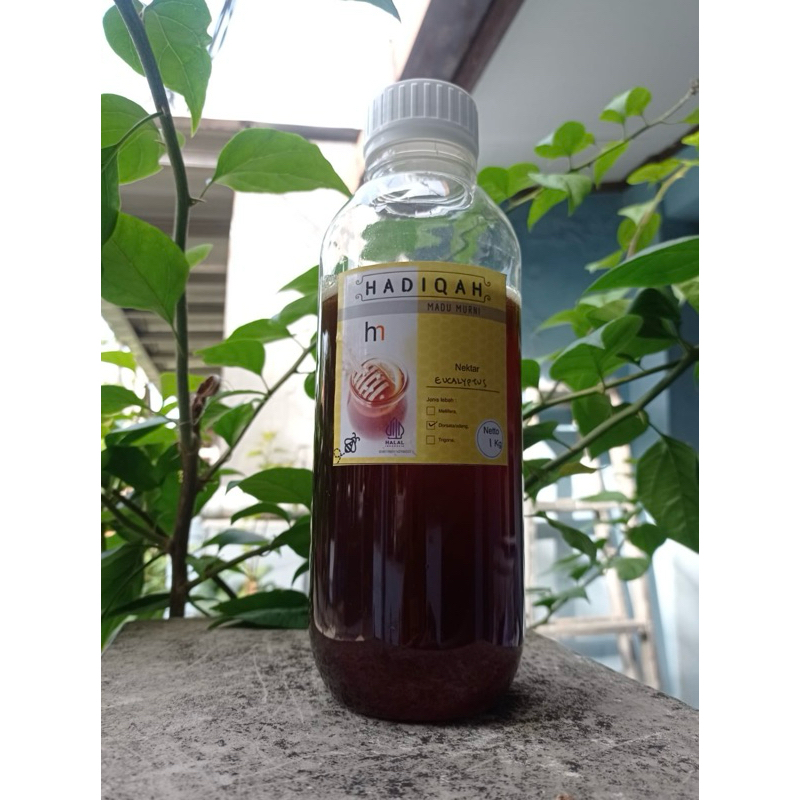 

Madu Murni Dari Hutan NTT Nektar Eucalyptus 1kg
