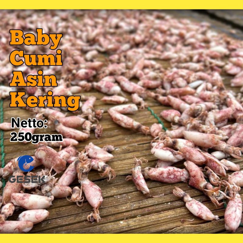

BABY CUMI ASIN KERING 250gram 1-2cm 2-3cm 3-4cm Murah grosir