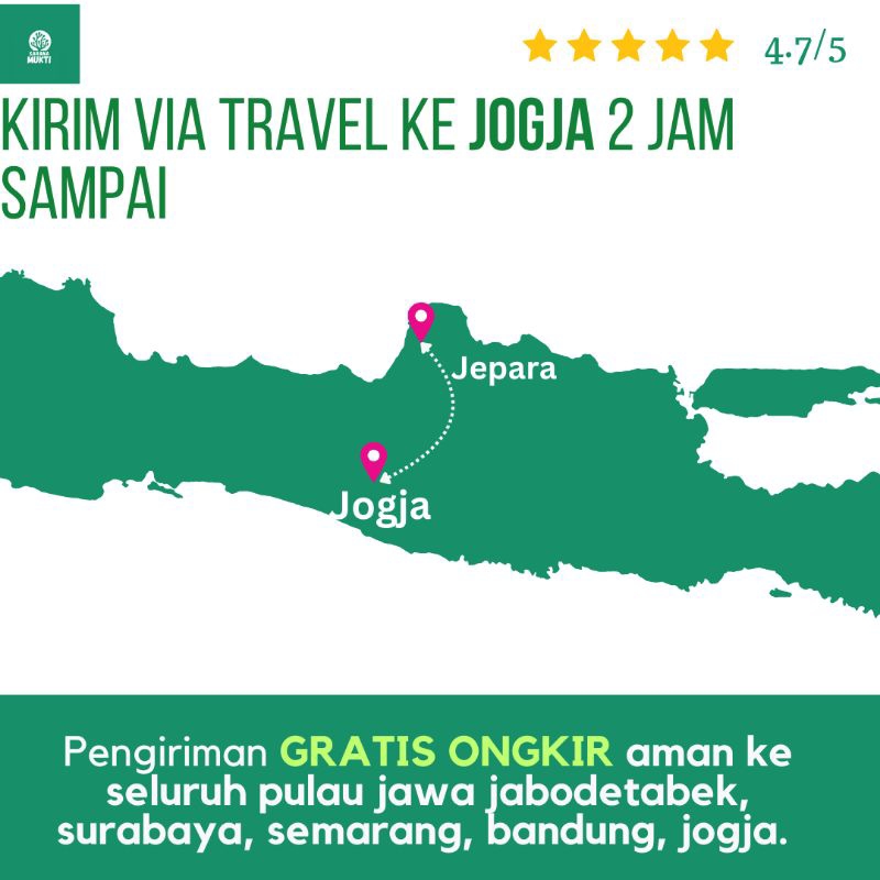 

Kirim Via Travel ke SEMARANG 2 Jam Sampai Hanya 25 Ribu | Latoh Anggur Laut Caulerpa