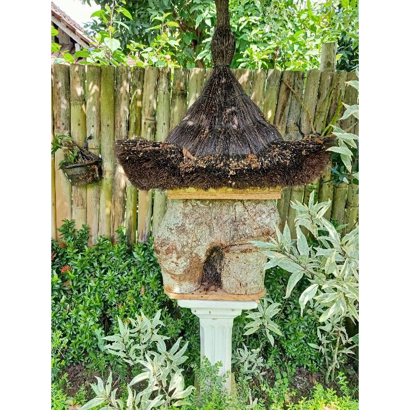 Koloni Itama | Log Itama | Trigona Itama | Log Toping Itama | Klanceng/kele