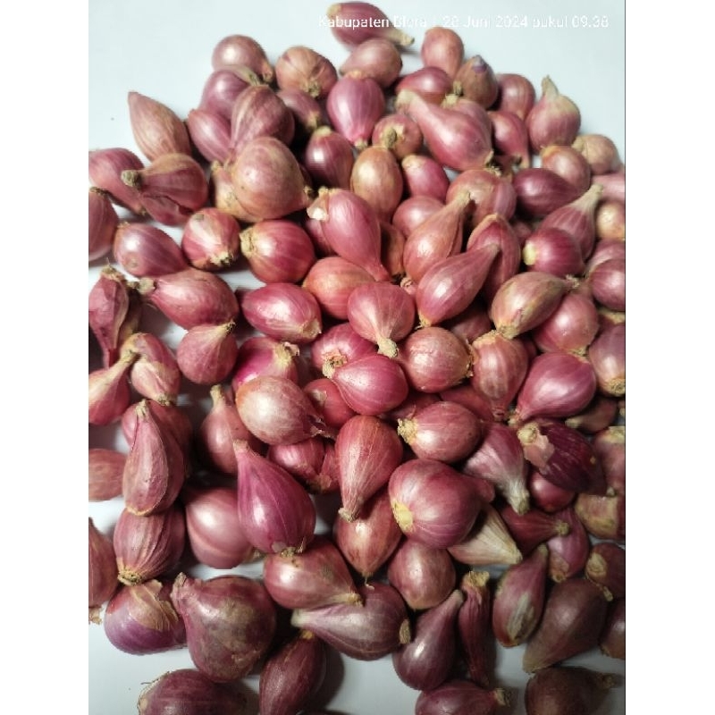 

BAWANG MERAH SUPER 1KG