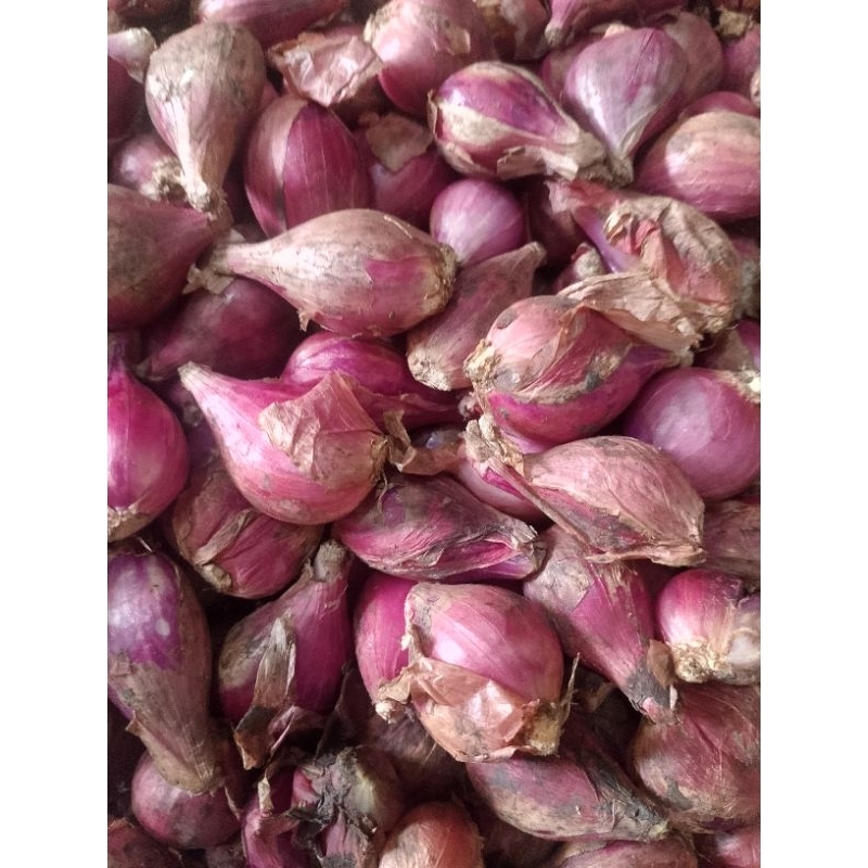 

bawang merah 250 gr