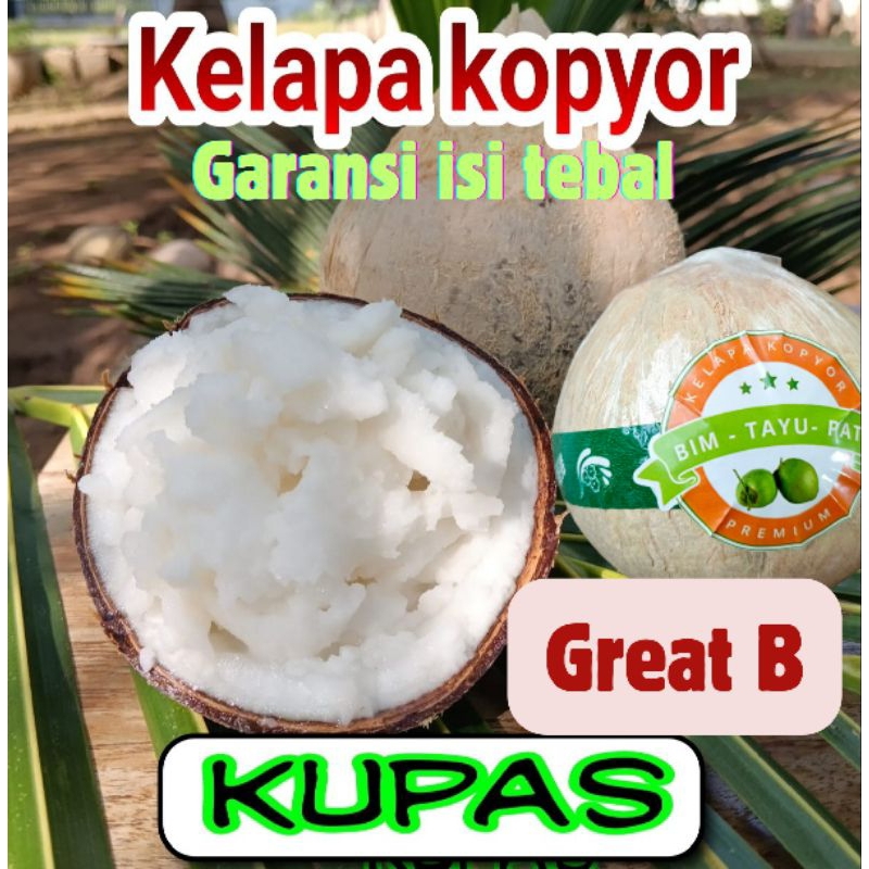 

Kelapa Kopyor ( uk 45-49 ) plontos/Great B / isi tebal