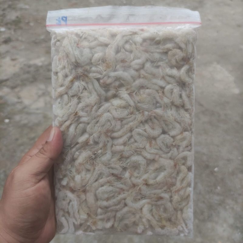 

udang api tanpa kepala ( beku ) berat 500gr.