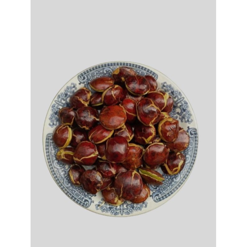 

Jengkol Tua Segar Murni Bungas Sepi 1 KG