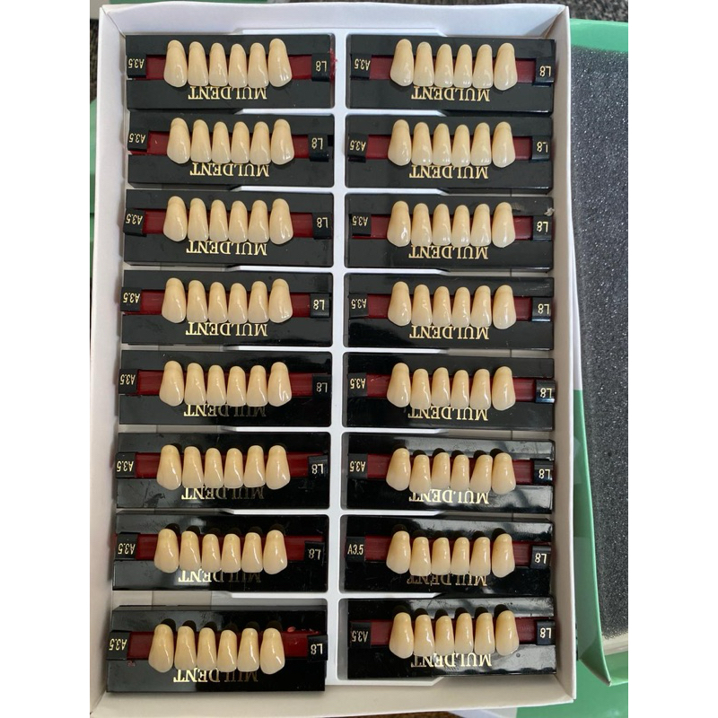 gigi palsu Muldent depan bawah/isi 16 papan satu kotak