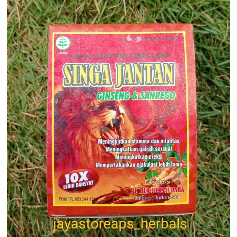 Singa Jantan Kapsul Stamina Original