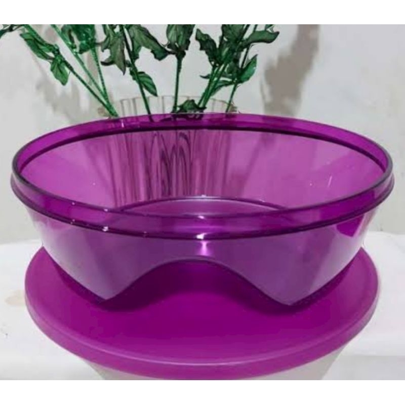 DISKON 50% | 3S Bowl 2L ungu (1) ; MINUS BARET karena penyimpanan di gudang