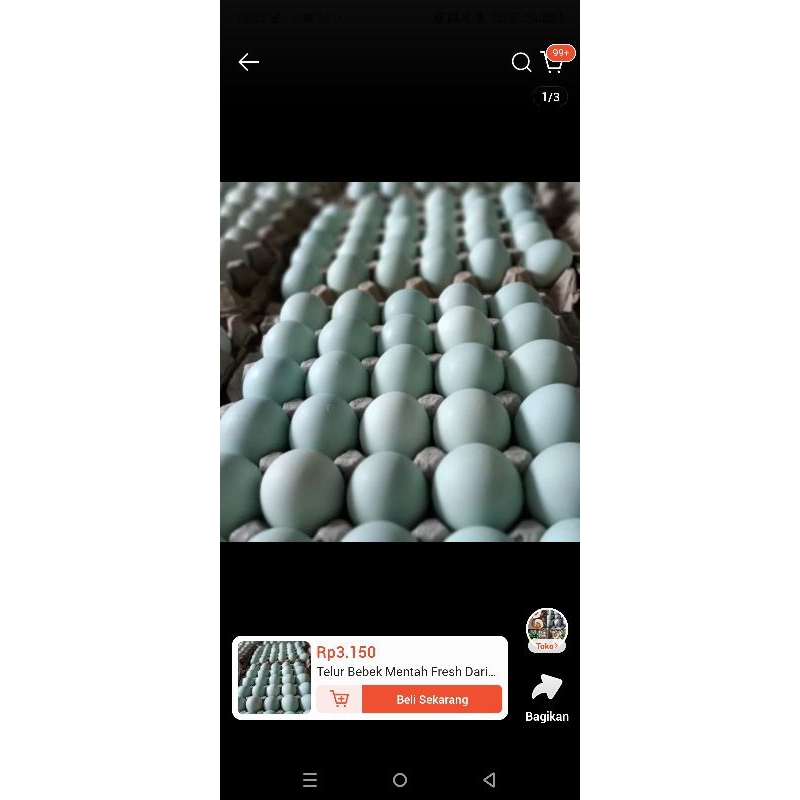 

Telur bebek mentah fresh dari kandang