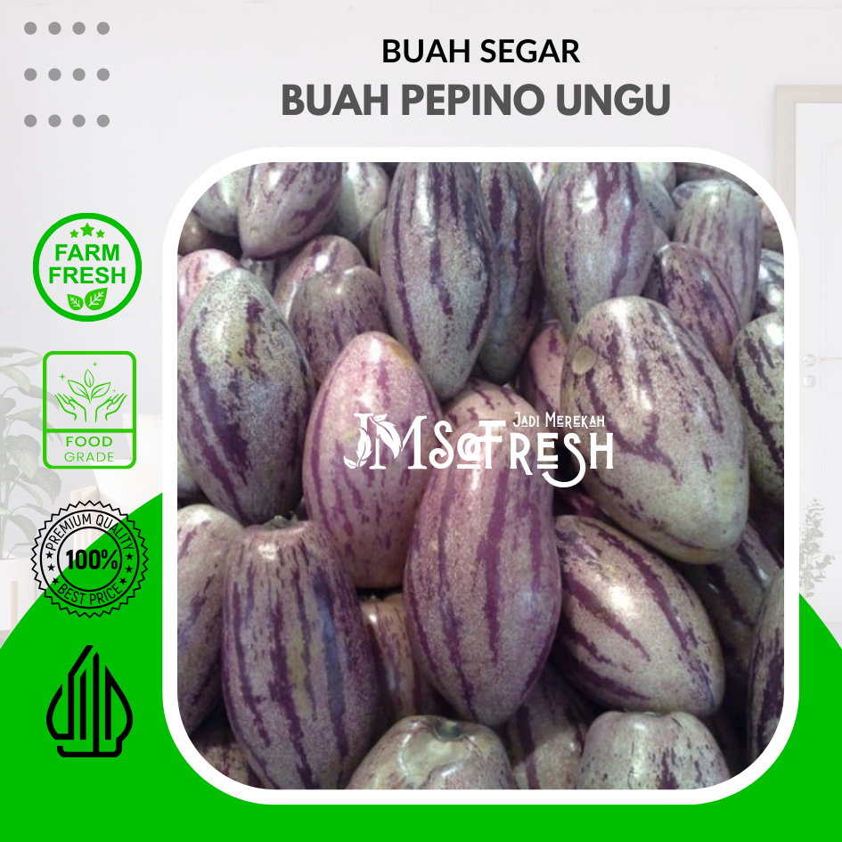 

[JM_SoFresh] Buah Pepino Ungu Fresh 1Kg (ORGANIK) / Buah Pepino Penurun Tekanan Darah Tinggi