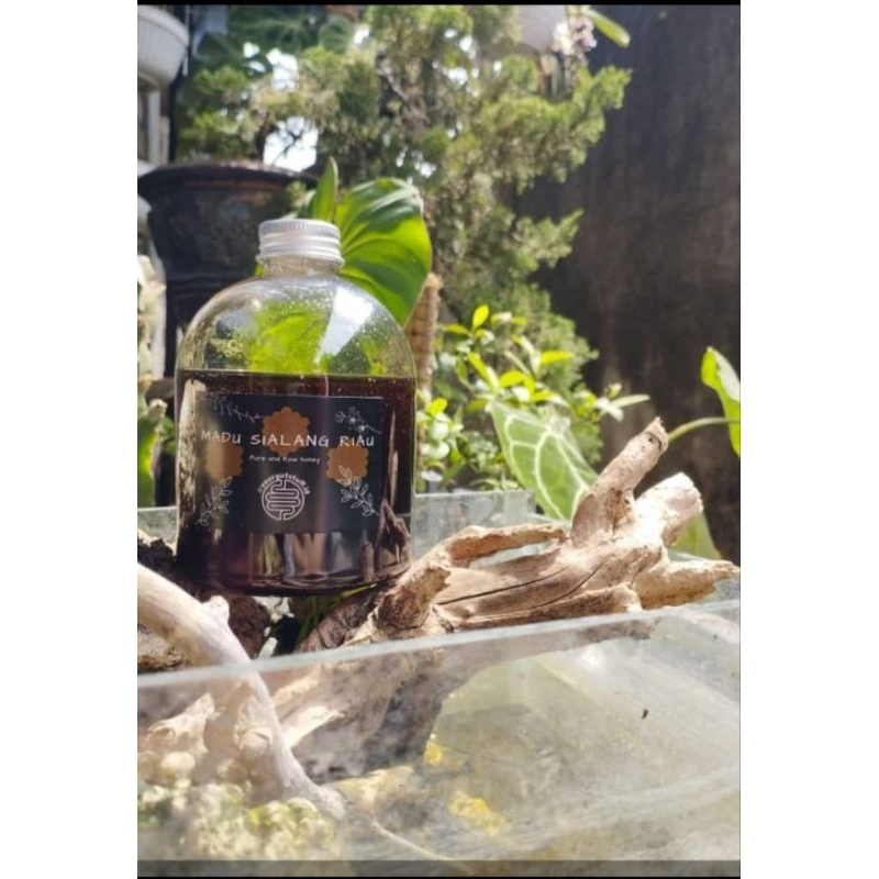 

Sialang Riau Raw honey / madu mentah sialang riau / madu asli sialang riau