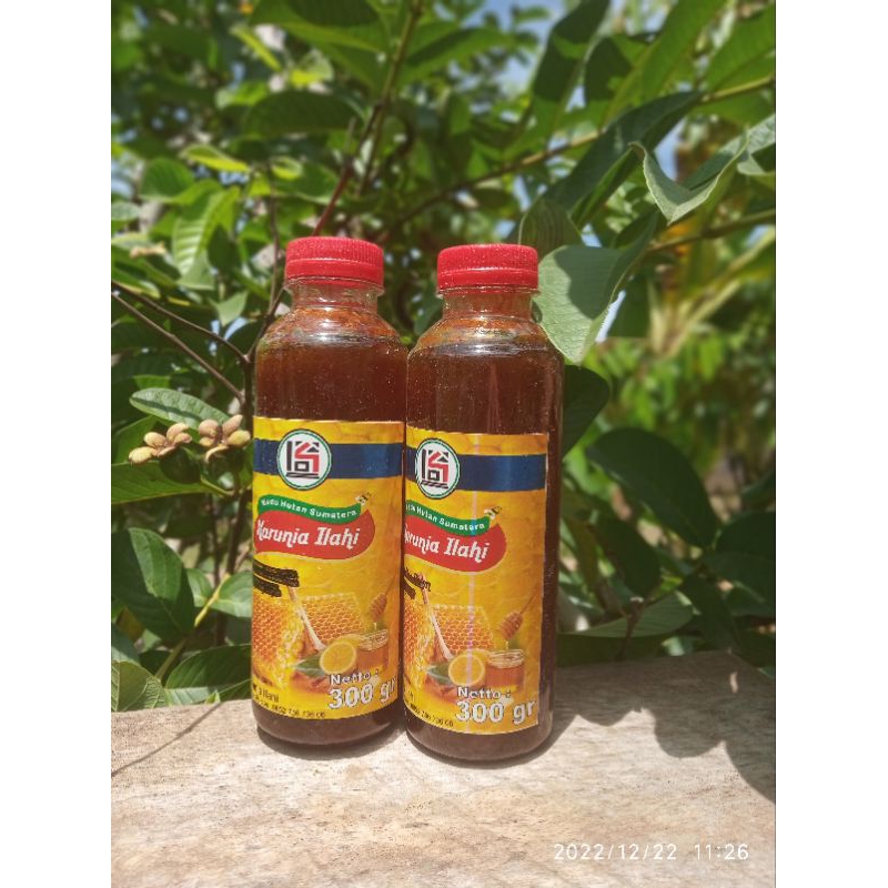 

Madu pelawan