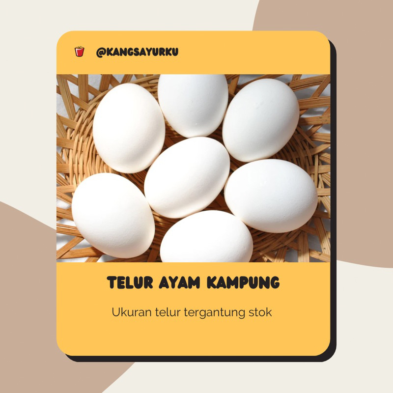 

TELUR AYAM KAMPUNG / TELUR AYAM YAMPUNG