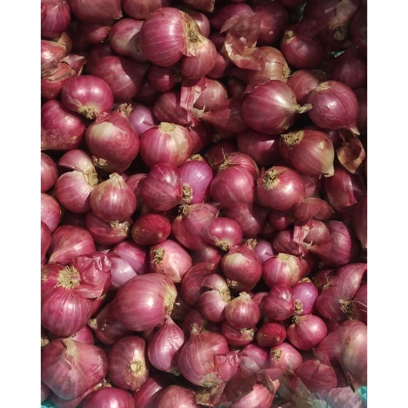 

bawang merah 1000gr