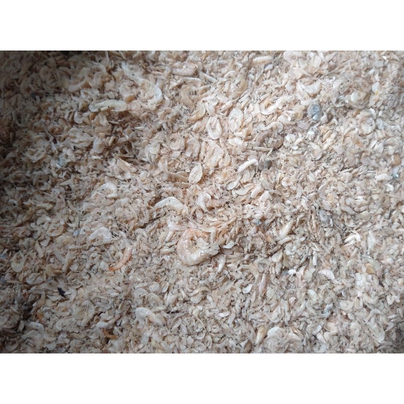 

UDANG REBON ASLI (1KG)