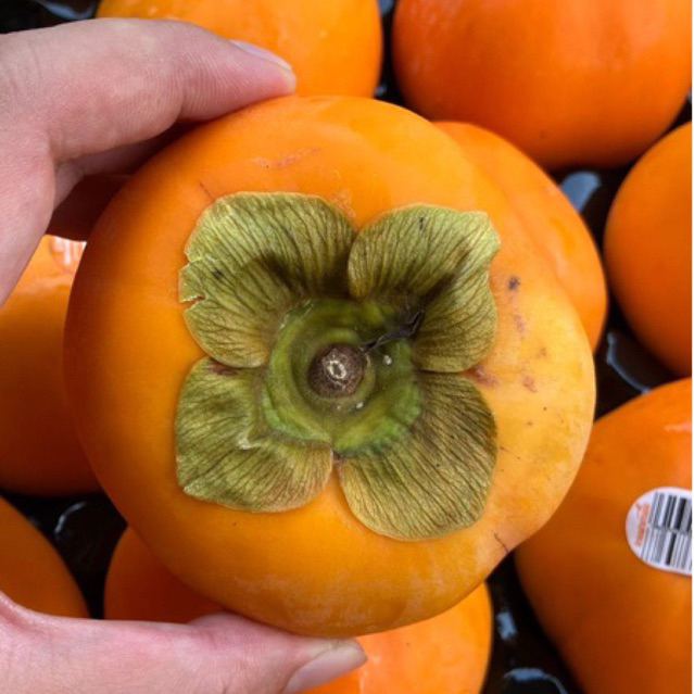 

Persimmon NZ garing manis