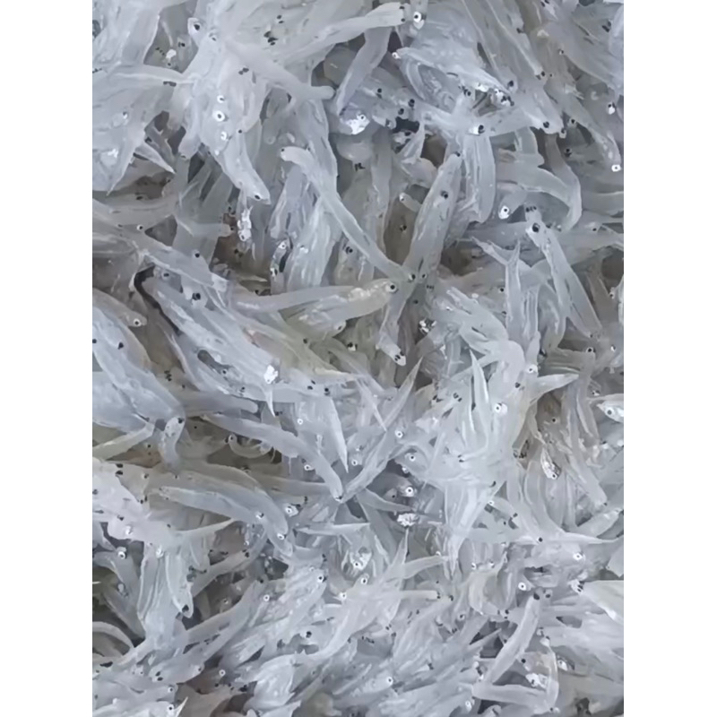 

Teri Nasi Basah Tawar