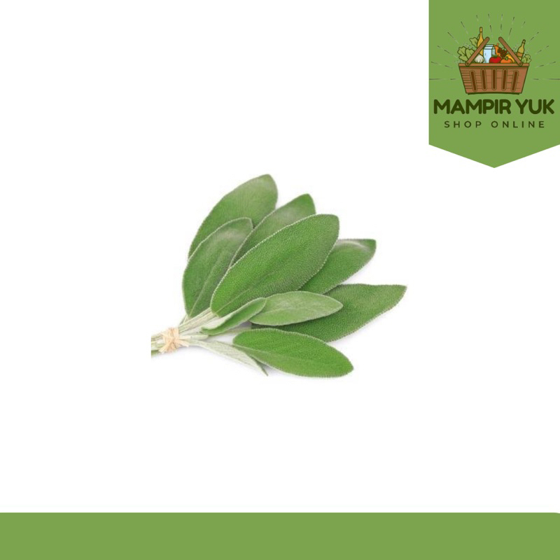 

Daun sage 250gr-1kg | mampiryuk