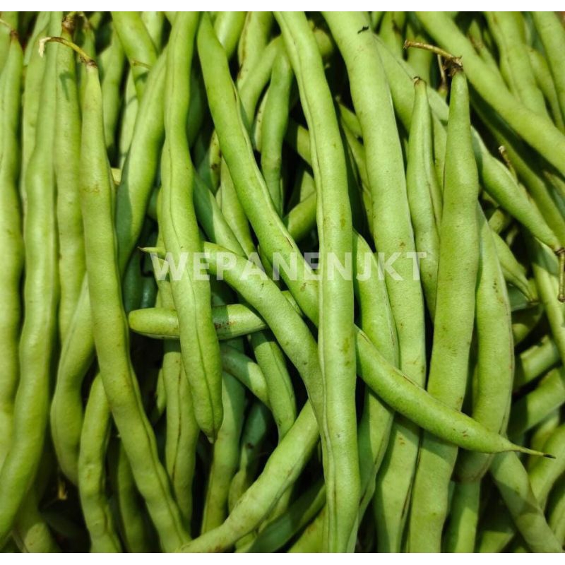 

Sayur Buncis 1kg