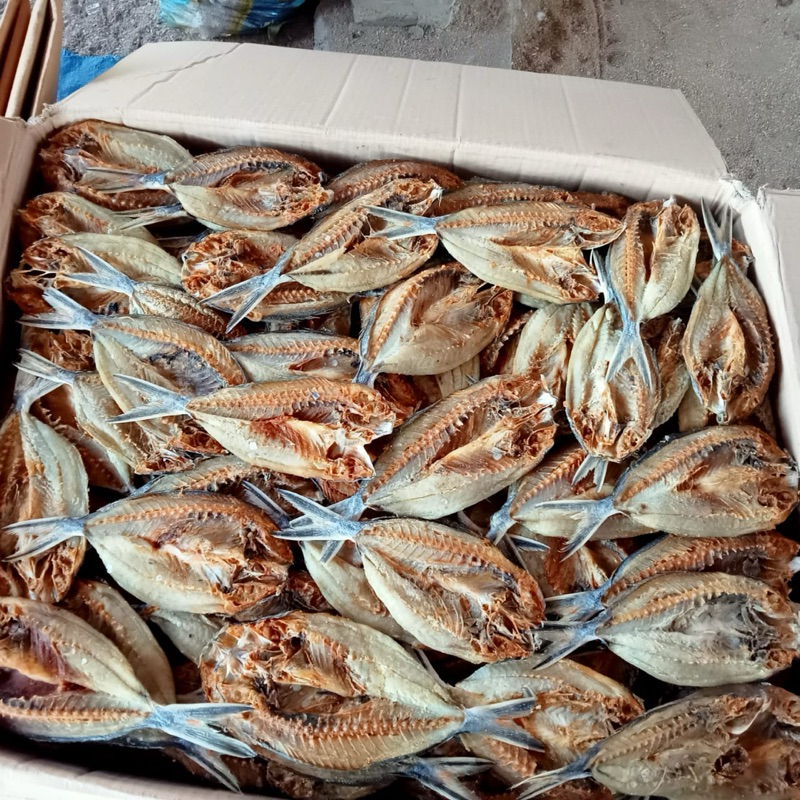 

Ikan kering/asin Sinrili