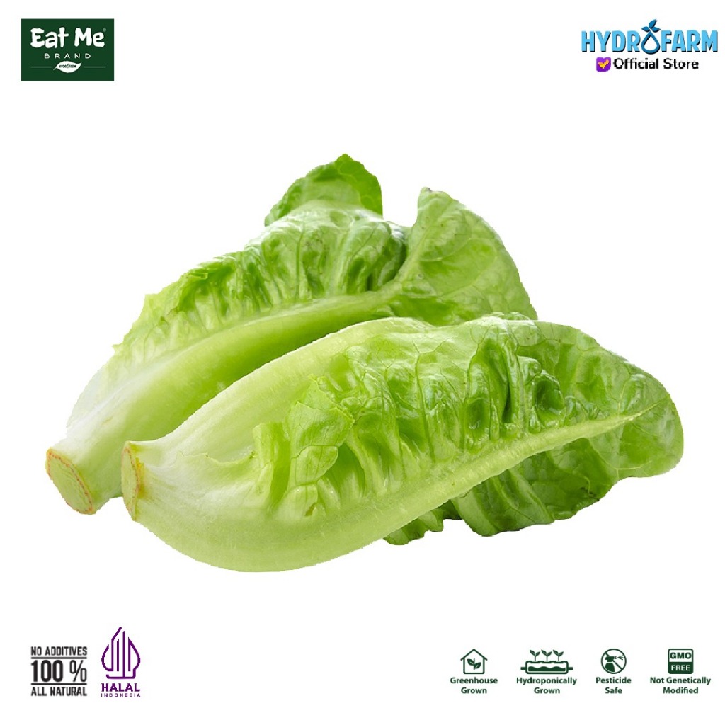 

Eat Me Brand - Selada Baby Cos Lettuce Hidroponik Kg