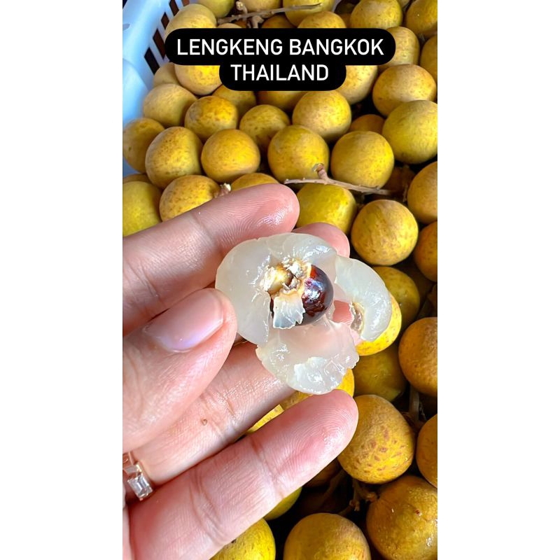 

Lengkeng bangkok grade A