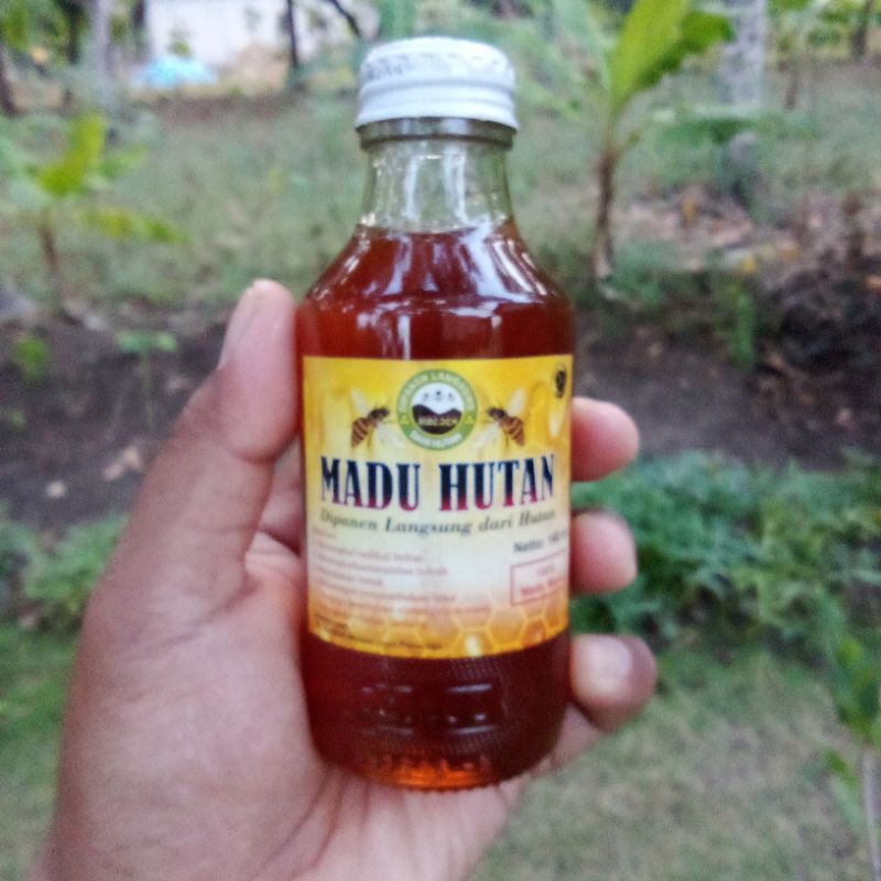 

Madu Hutan Asli