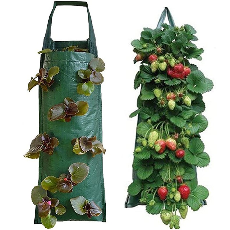 Planter Bag 10 Lubang-Plant Pouch-Pot Gantung Easy Grow-Planter Bag Untuk Tanaman Gantung Original